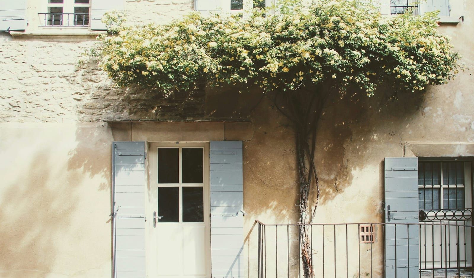 Façade ancienne en pierre aux volets gris clair, une plante grimpante en fleurs au-dessus de la porte