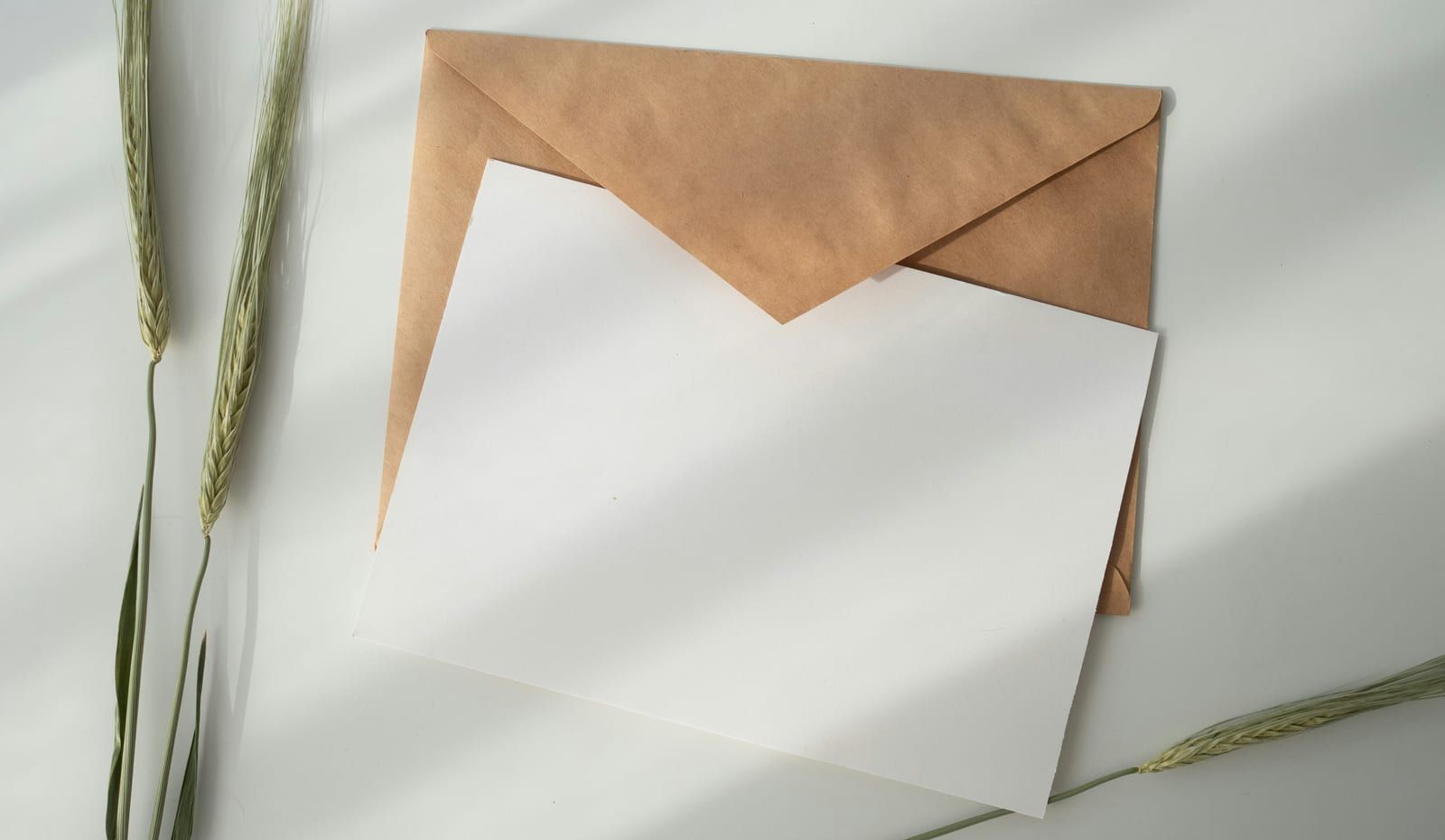 Feuille blanche posée sur une enveloppe kraft, entre des épis séchés