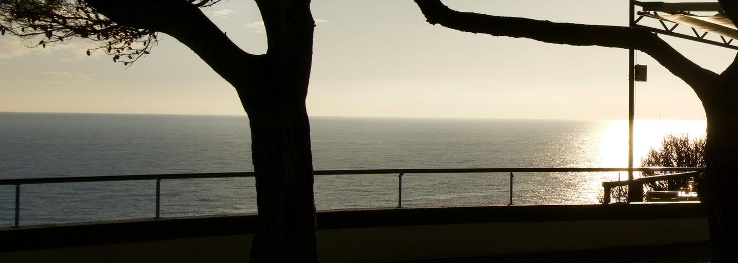 Silhouettes de pins devant la mer au soleil couchant, au-dessus d'une terrasse de gravier